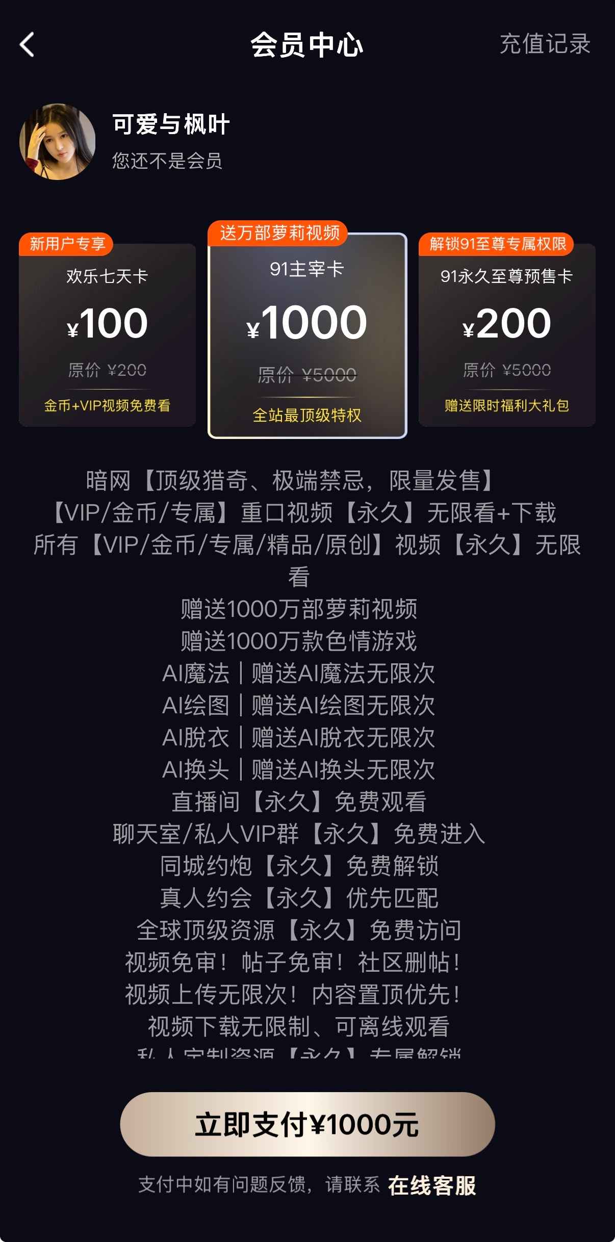 91PO会员服务特权权益与订阅方案展示页